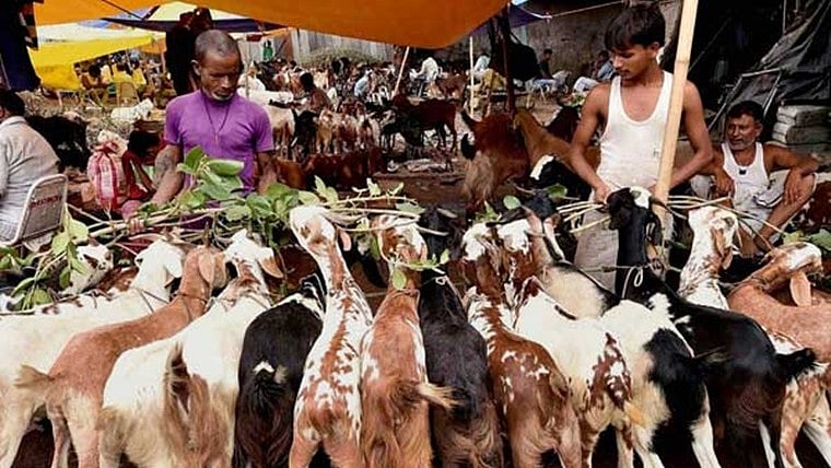 Eid Al-Adha Celebrations Begin In Mumbai As Muslim Leaders Urge Responsible Sacrifice Within Legal...